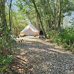 #Y3 Willow Tree Yurt