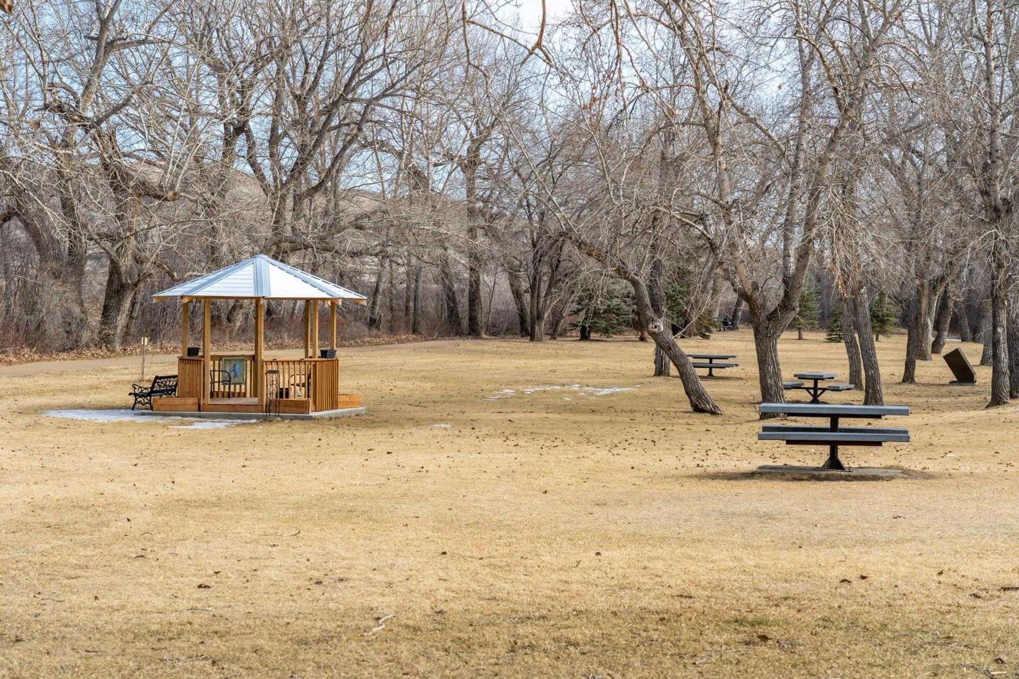 Timber Valley I Hottub I Pingpong I Sleep 14 I Bbq Holiday home Drumheller